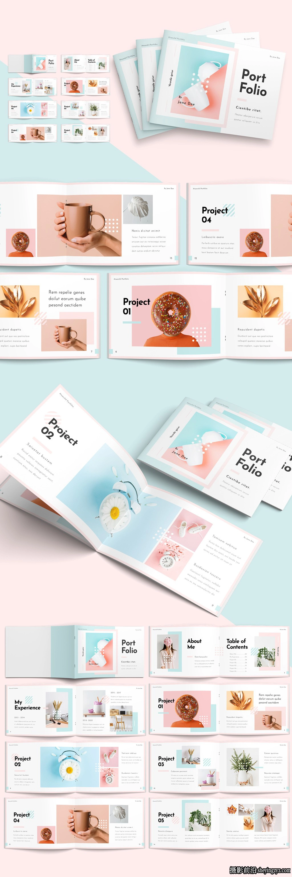 投资组合布局InDesign模板