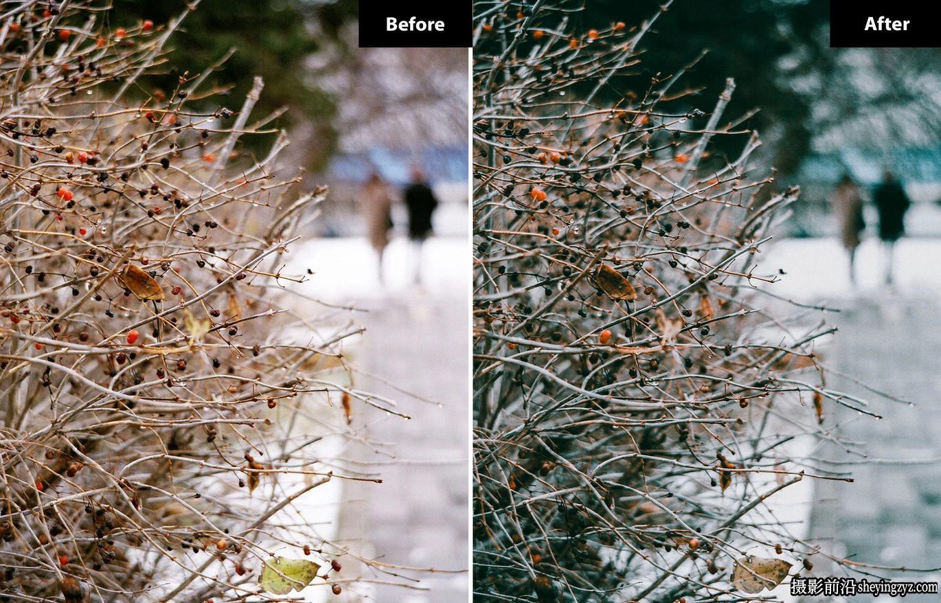 秋季旅拍电影风光lr预设/lr预设 Moody Fall Lightroom presets