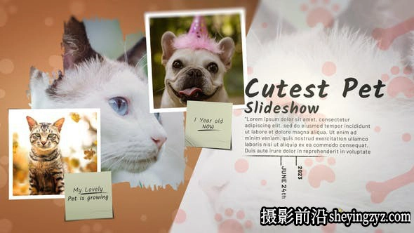 AE模板-宠物照片相册展示片头模版 Cutest Pet Slideshow