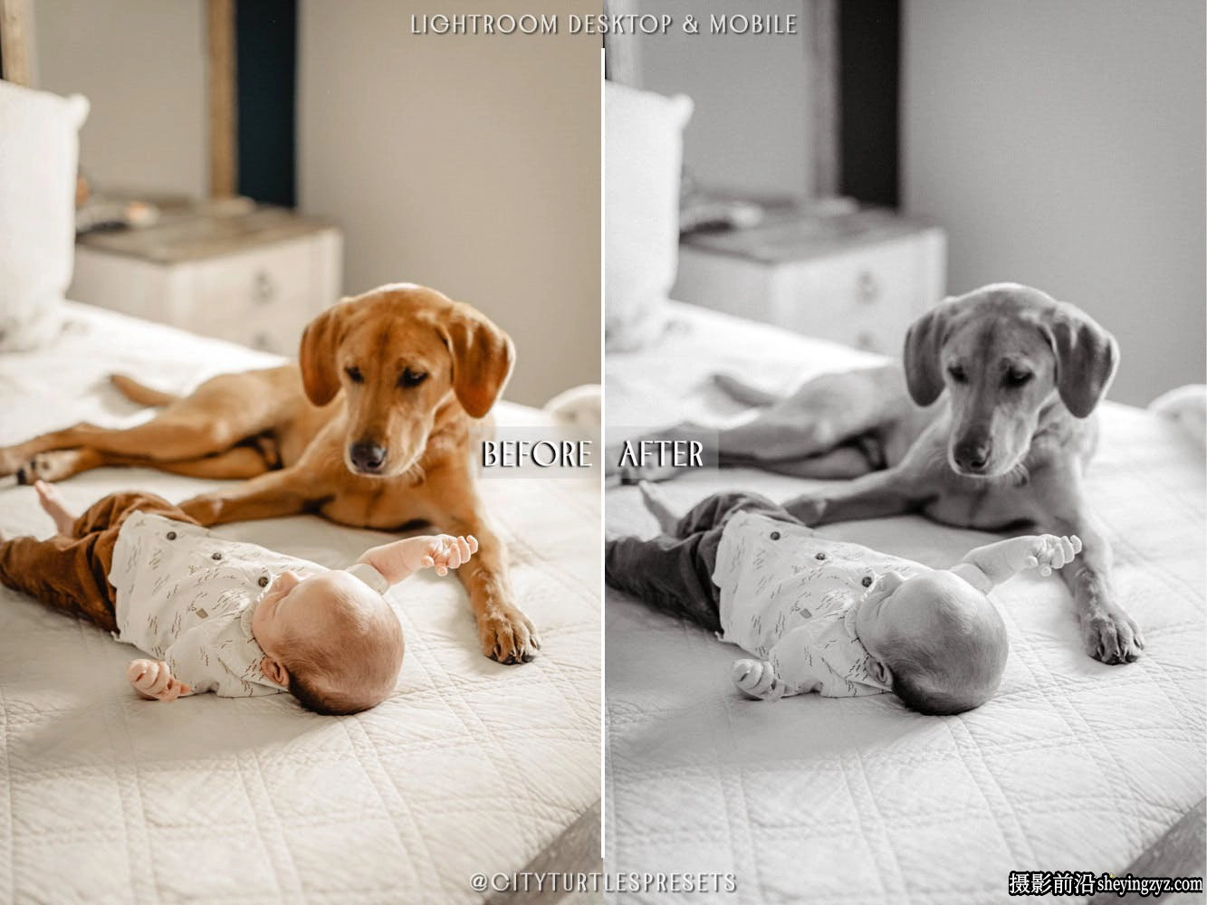 免费乡村旅行温暖秋季LR预设 Farmhouse Rustic Lightroom Presets