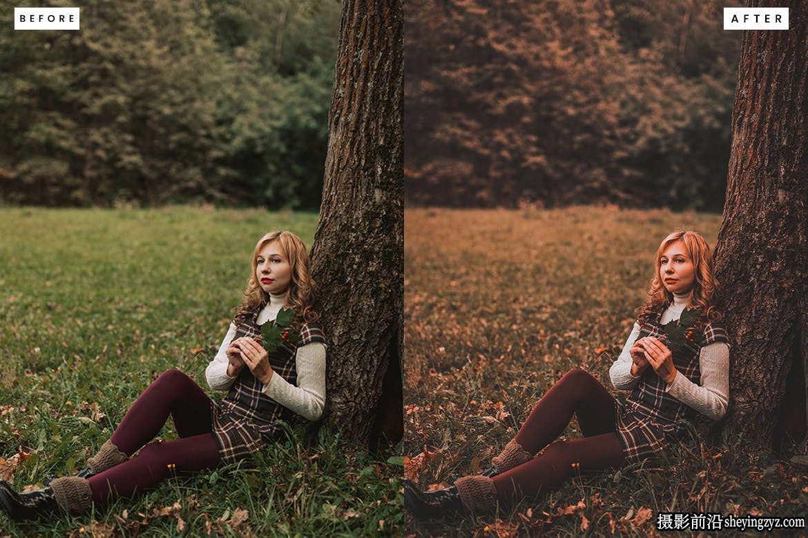 动物园野生动物摄影Lightroom预设 Safari Lightroom Presets