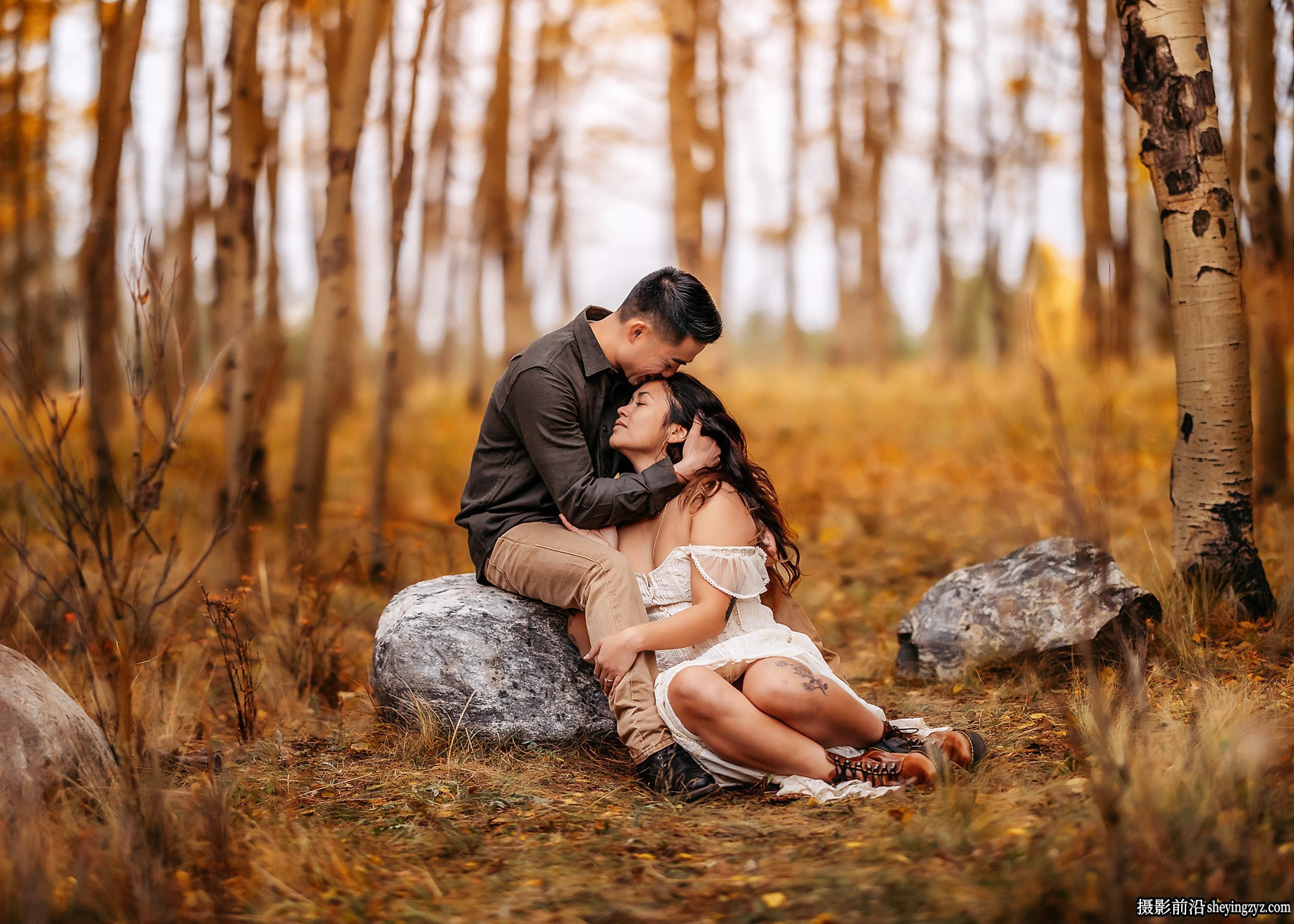 GTG大师AI人工智能LR预设 Greater Than Gatsby-Fleetwood AI Presets
