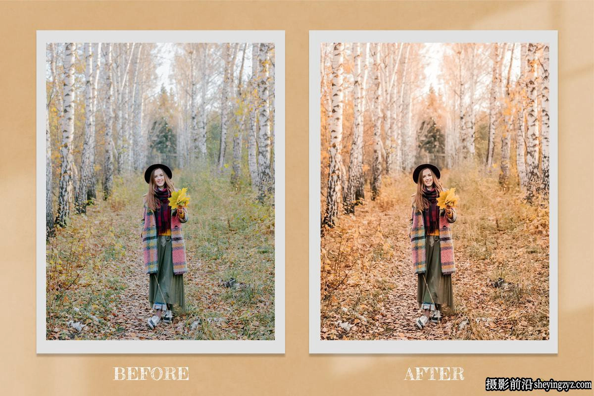 秋季色彩电影人像LR预设及LUT预设 Harvest Lightroom Presets