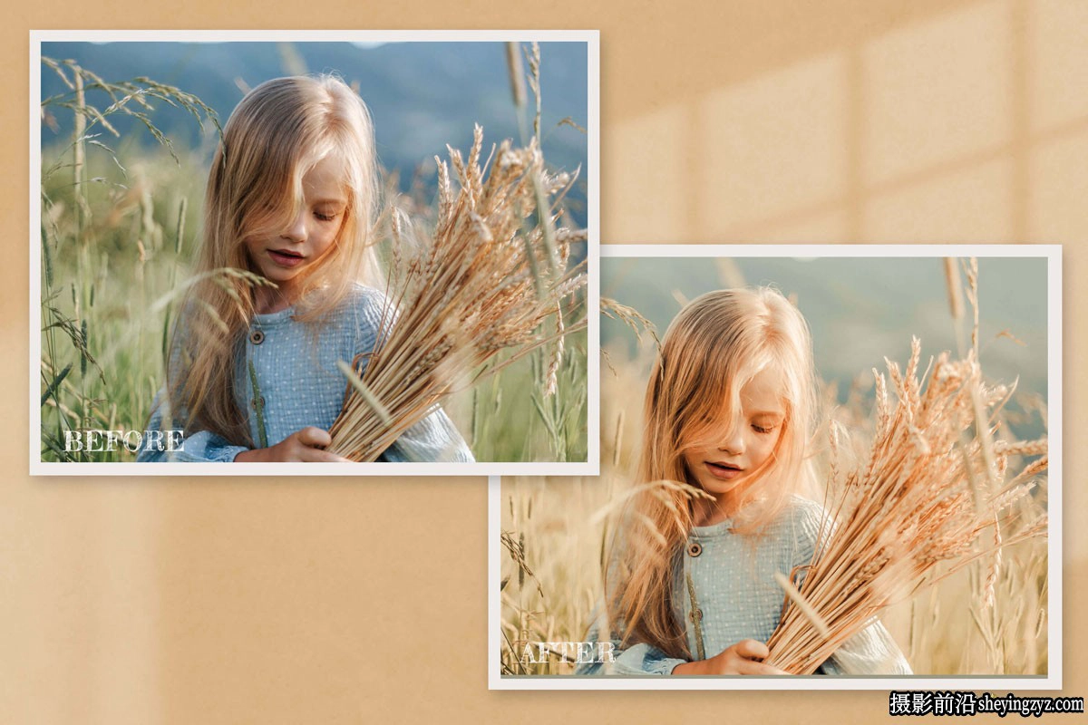秋季色彩电影人像LR预设及LUT预设 Harvest Lightroom Presets