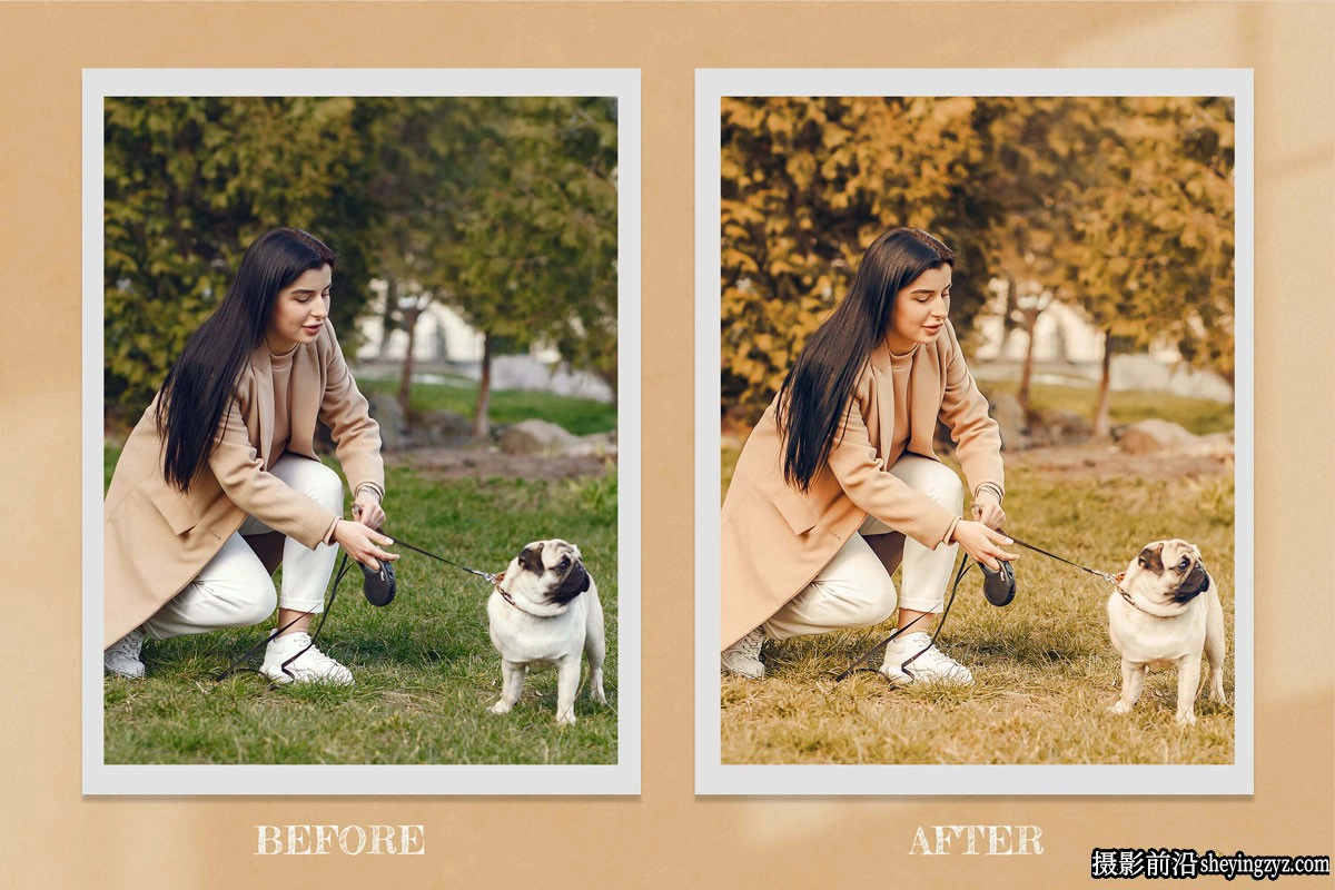 秋季色彩电影人像LR预设及LUT预设 Harvest Lightroom Presets