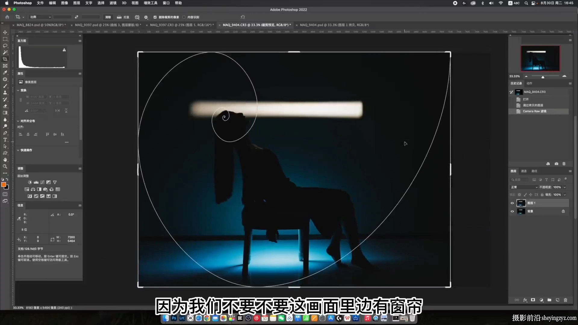 麻雀大人-情感人像摄影综合训练大课堂25课完整版