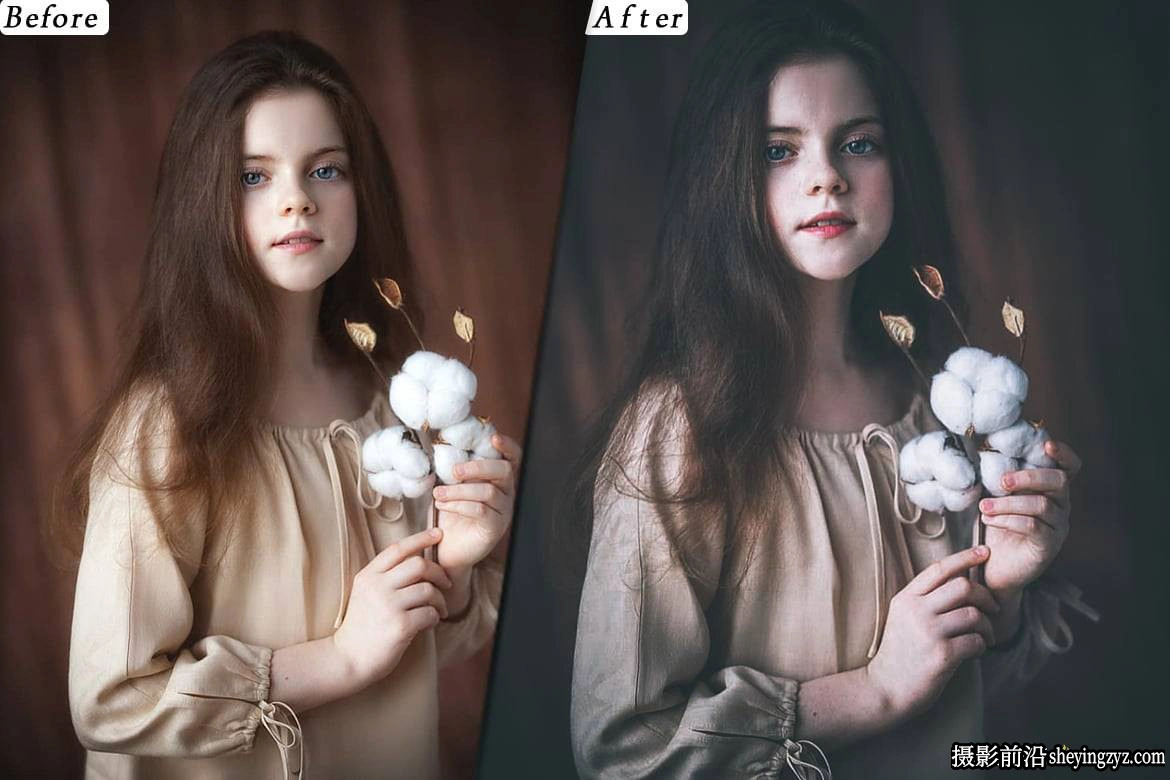 时尚电影人像后期调色LUT预设及lr预设 Fashion Mood Presets - luts
