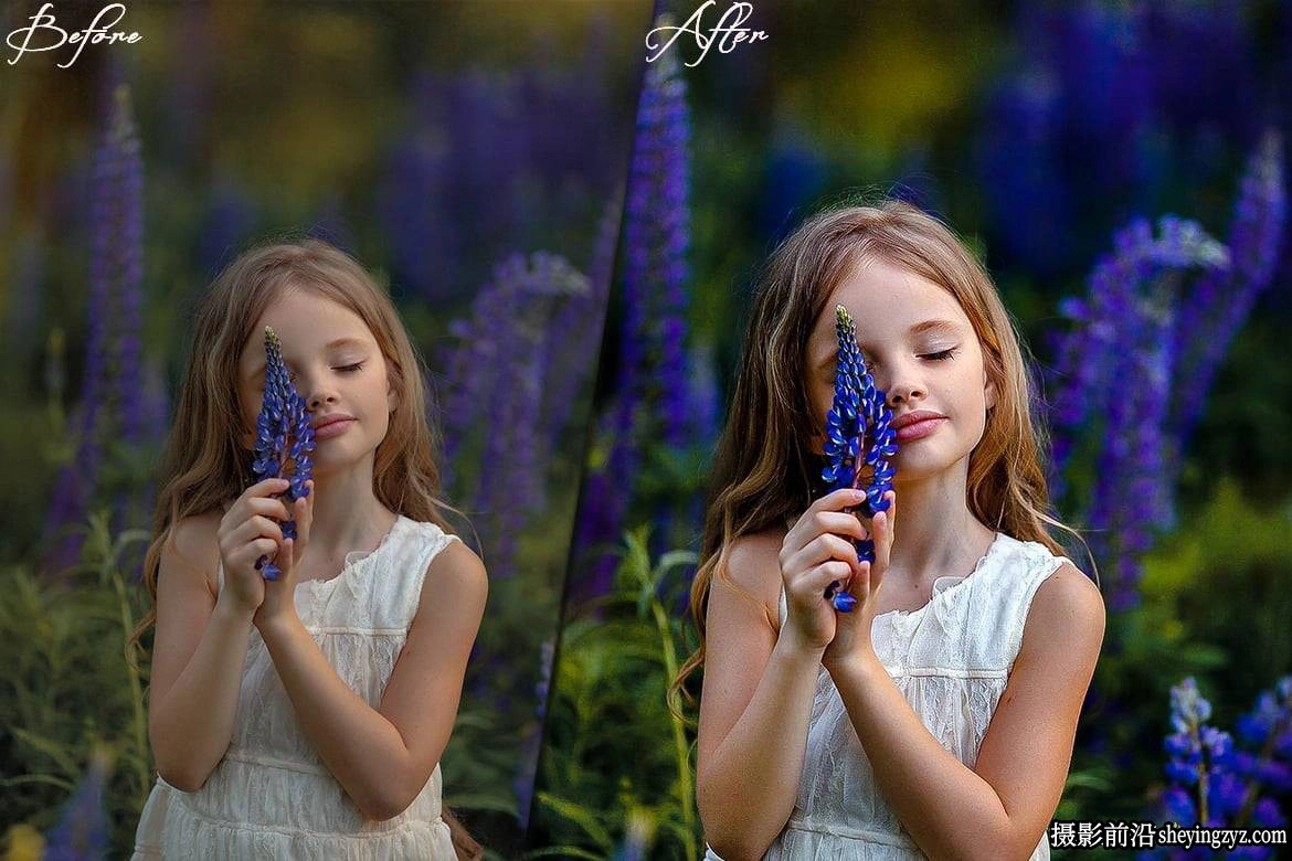 干净通透人像电影LUT预设及LR预设 Clean Portrait Presets - luts