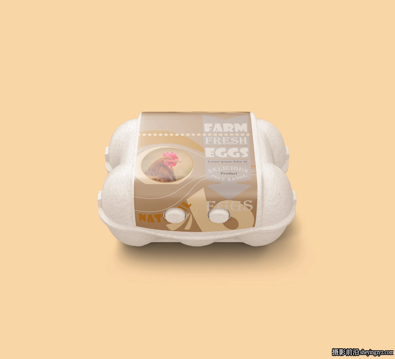 鸡蛋盒安全包装样机模型