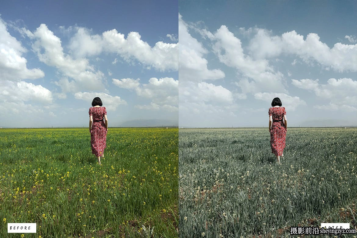 10种旅行网红电影人像调色Lr预设Evergreen Lightroom Presets