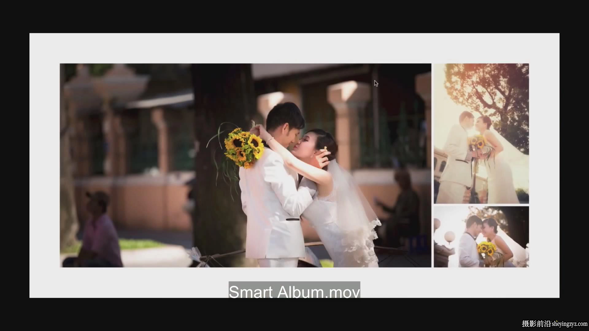 智能册排版软件Pixellu SmartAlbums 2.2.6 Win汉化版x64