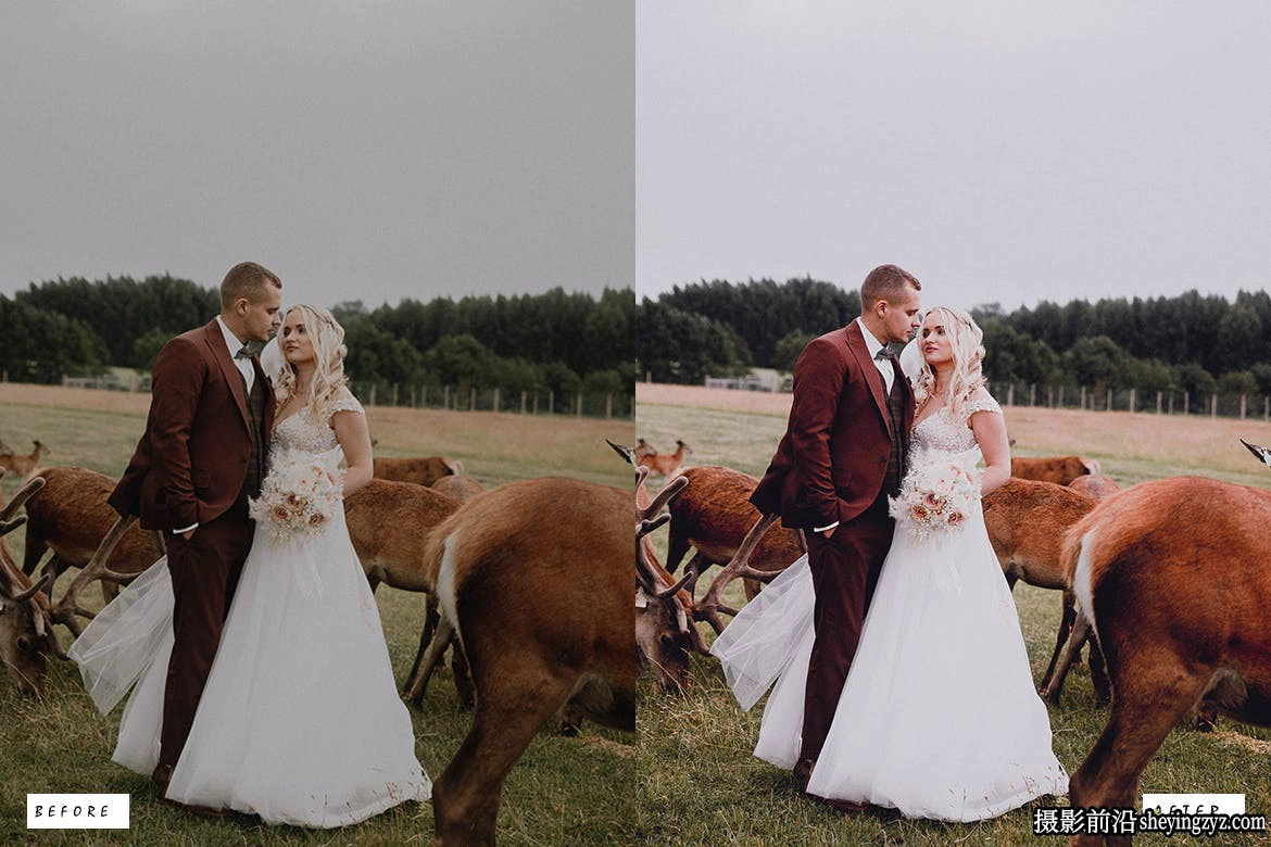 10个复古婚礼人像Lightroom预设 Vintage Wedding Lightroom Presets