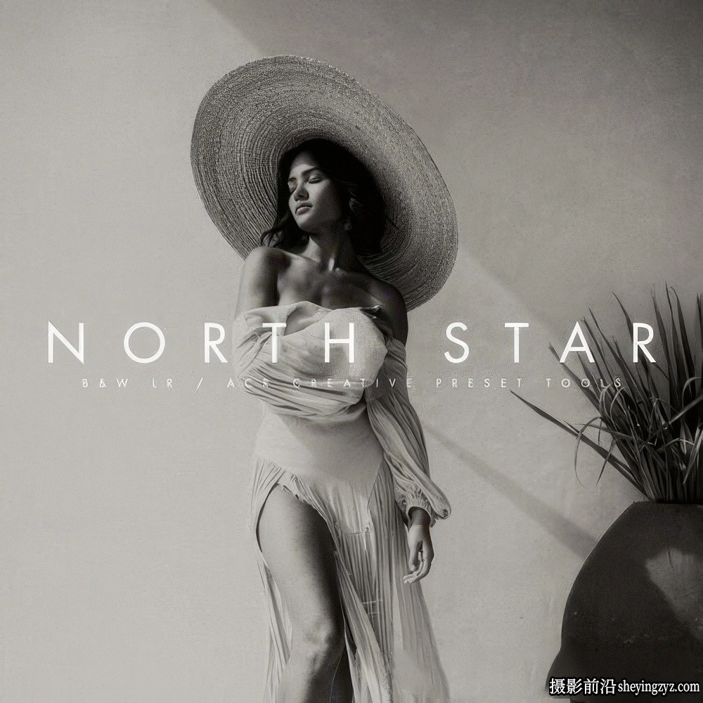 Archipelago-黑白电影胶片LR预设 Archipelago-NORTH STAR Presets