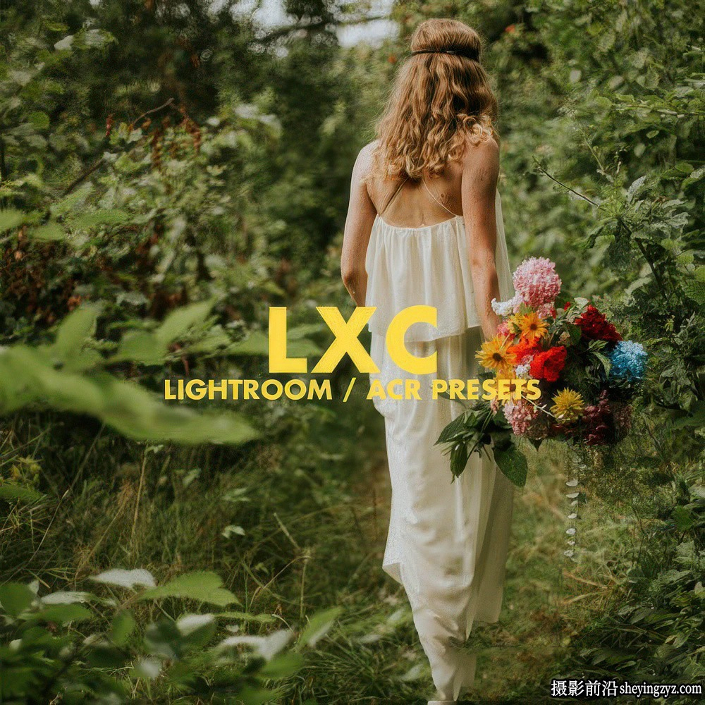 Archipelago-LXC系列经典电影婚礼胶片LUT预设Archipelago LXC LUTs