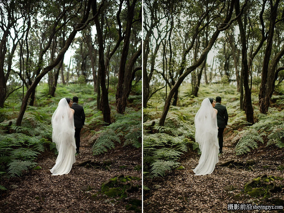 Archipelago-电影婚礼LR预设/ACR预设 Archipelago Redwood Presets