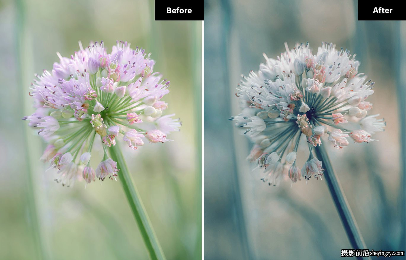城市街头摄影lr预设及手机lr预设 Luma Voger Lightroom Presets