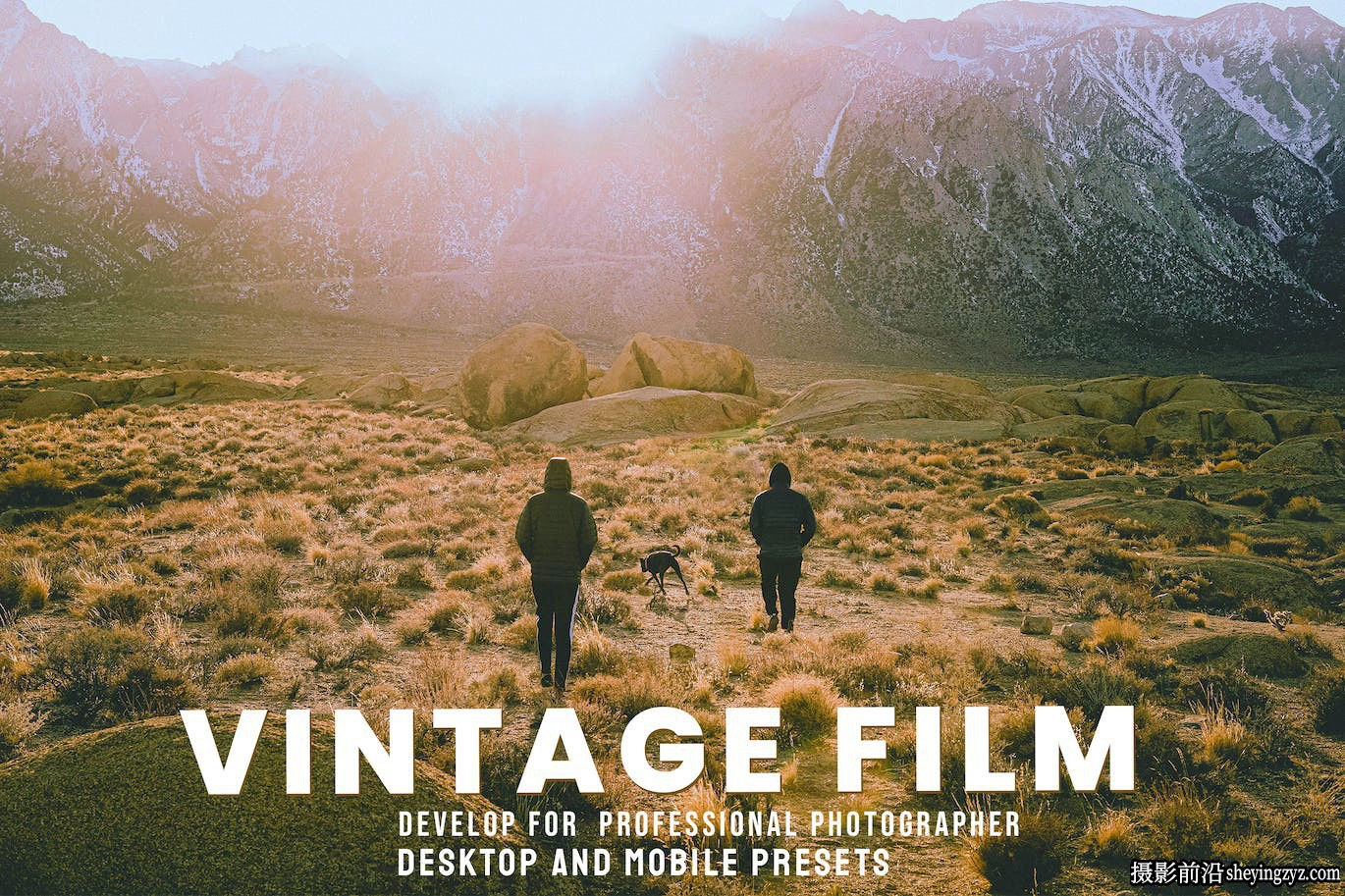 电影复古胶片lr预设及手机lr预设 Vintage Film- Lightroom Presets