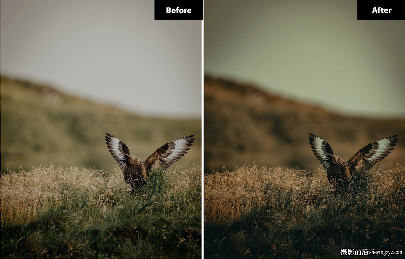 网红旅拍电影风光LR预设/手机预设 Shamrock sea Lightroom Presets