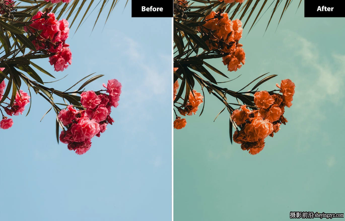 网红旅拍电影风光LR预设/手机预设 Shamrock sea Lightroom Presets