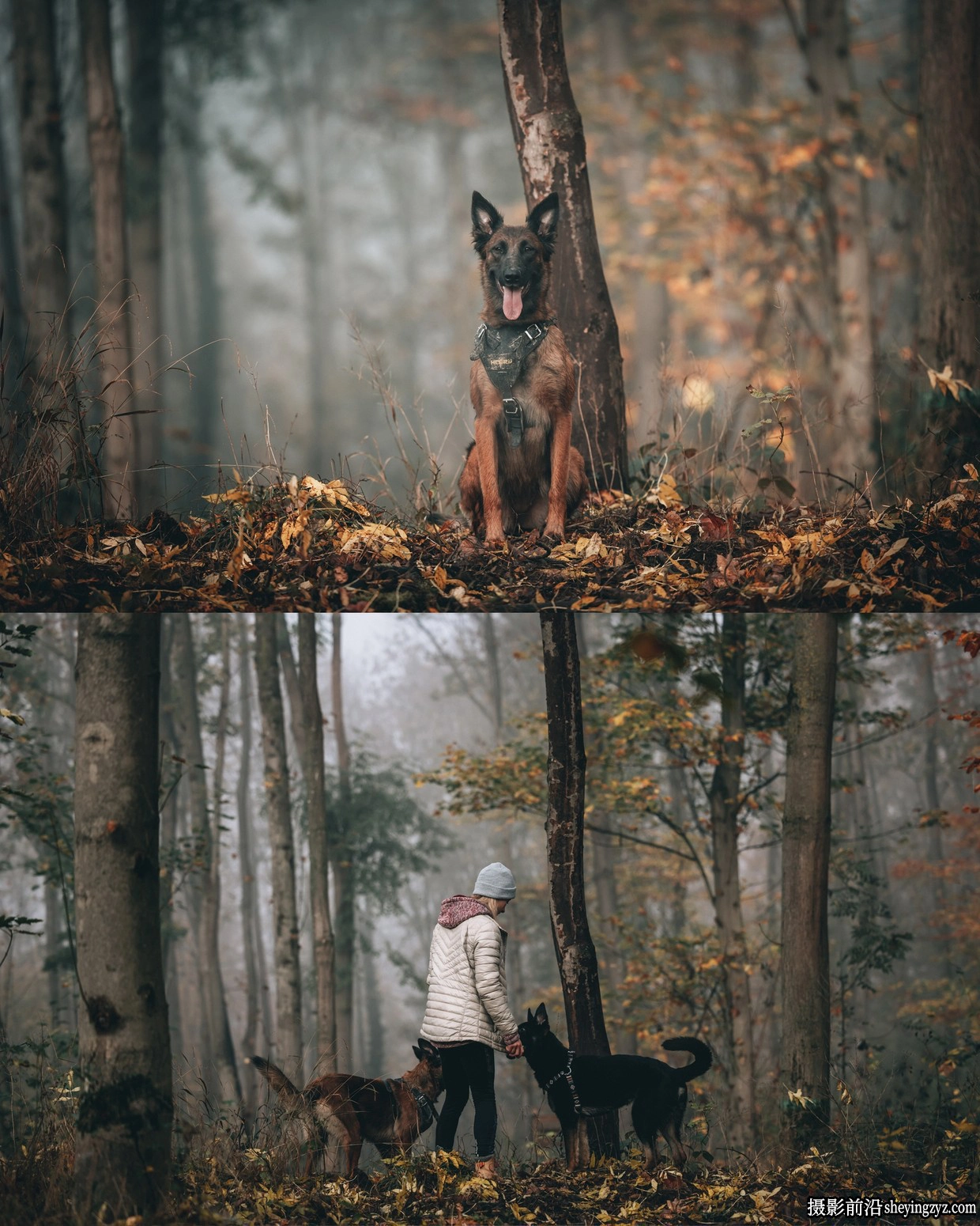 Christian Mate Grab 旅拍电影人像LR预设 MOODMACHER 10 Presets