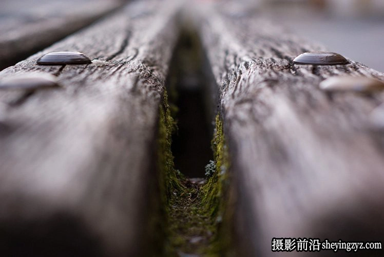 摄影入门技巧-5分钟让你学懂景深的应用技巧