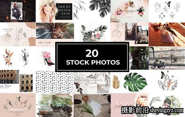 16000+图案插画矢量图形标志字体画笔传单艺术设计元素大合集
