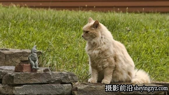 摄影入门技巧-5个简单技巧加强照片冲击力