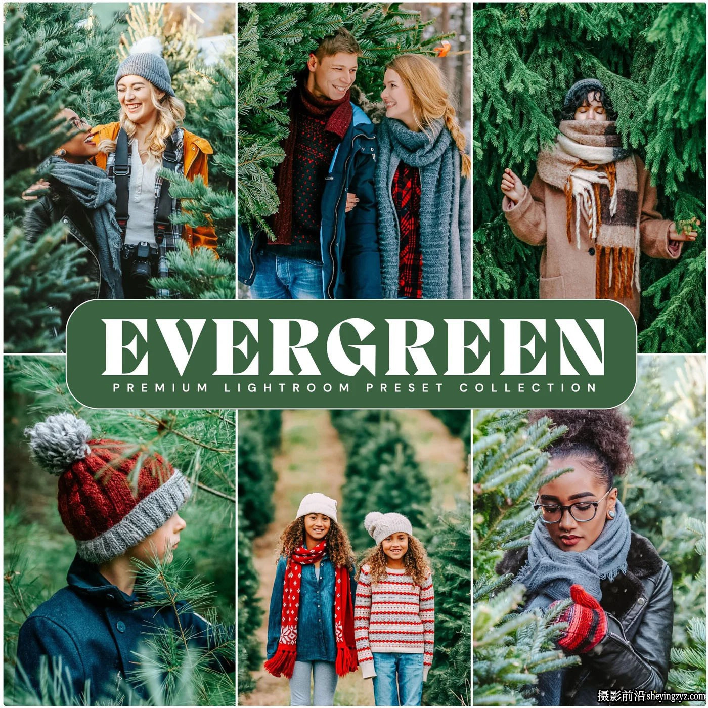 10种清新森系胶片人像LR预设 LOUMARKS Evergreen Presets