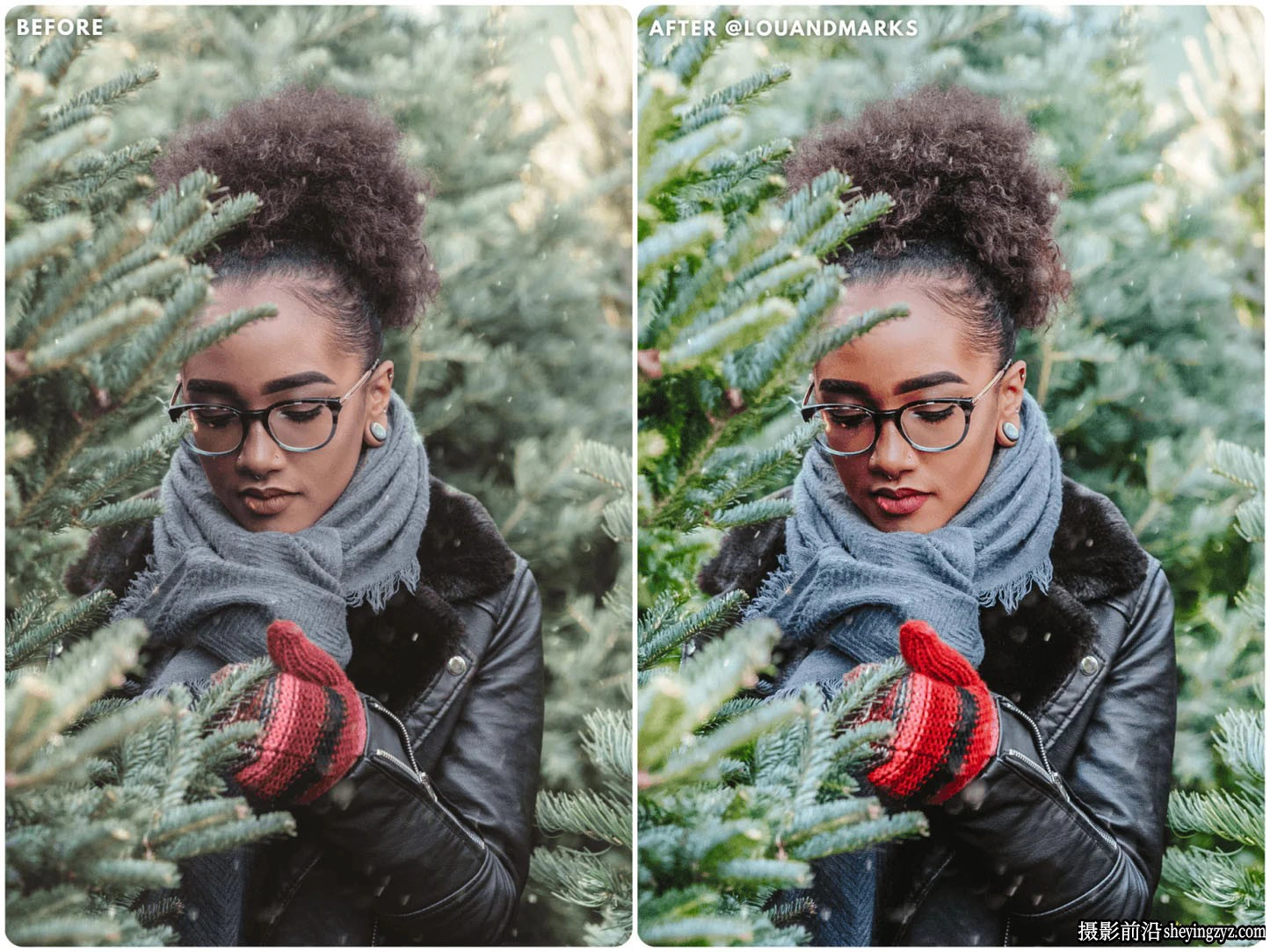 10种清新森系胶片人像LR预设 LOUMARKS Evergreen Presets