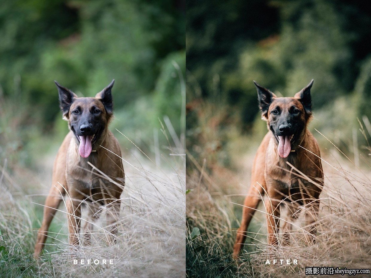 Christian Mate Grab高品质电影肖像LR预设 LIKE FILM 10 Lightroom Presets