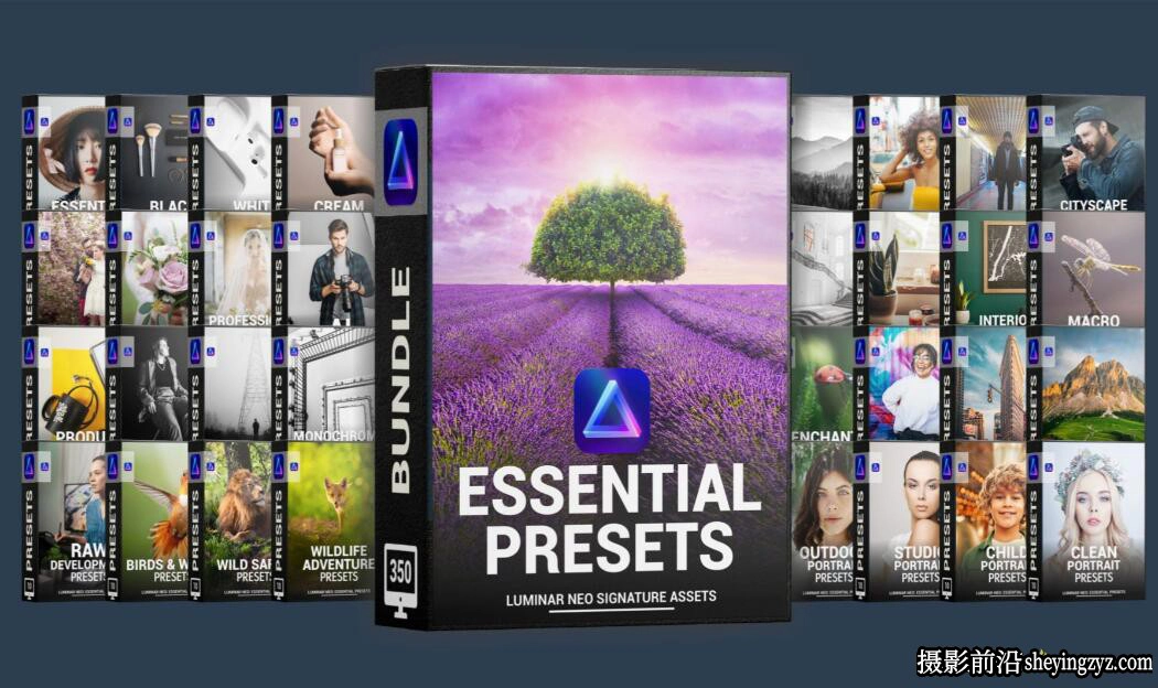 Luminar NEO 40套完整版400+Luminar预设包 Essential Preset Bundle