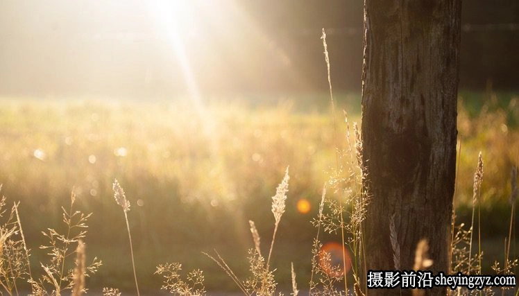 摄影入门技巧-怎样可以拍出有感觉的照片