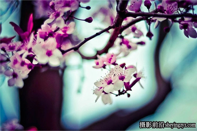 摄影入门技巧-怎样可以拍出有感觉的照片