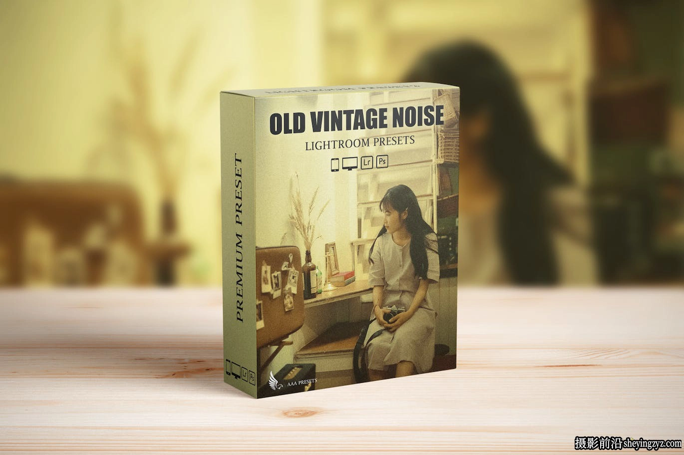 老式复古颗粒胶片LR预设 Vintage Retro Film Look Lightroom Preset
