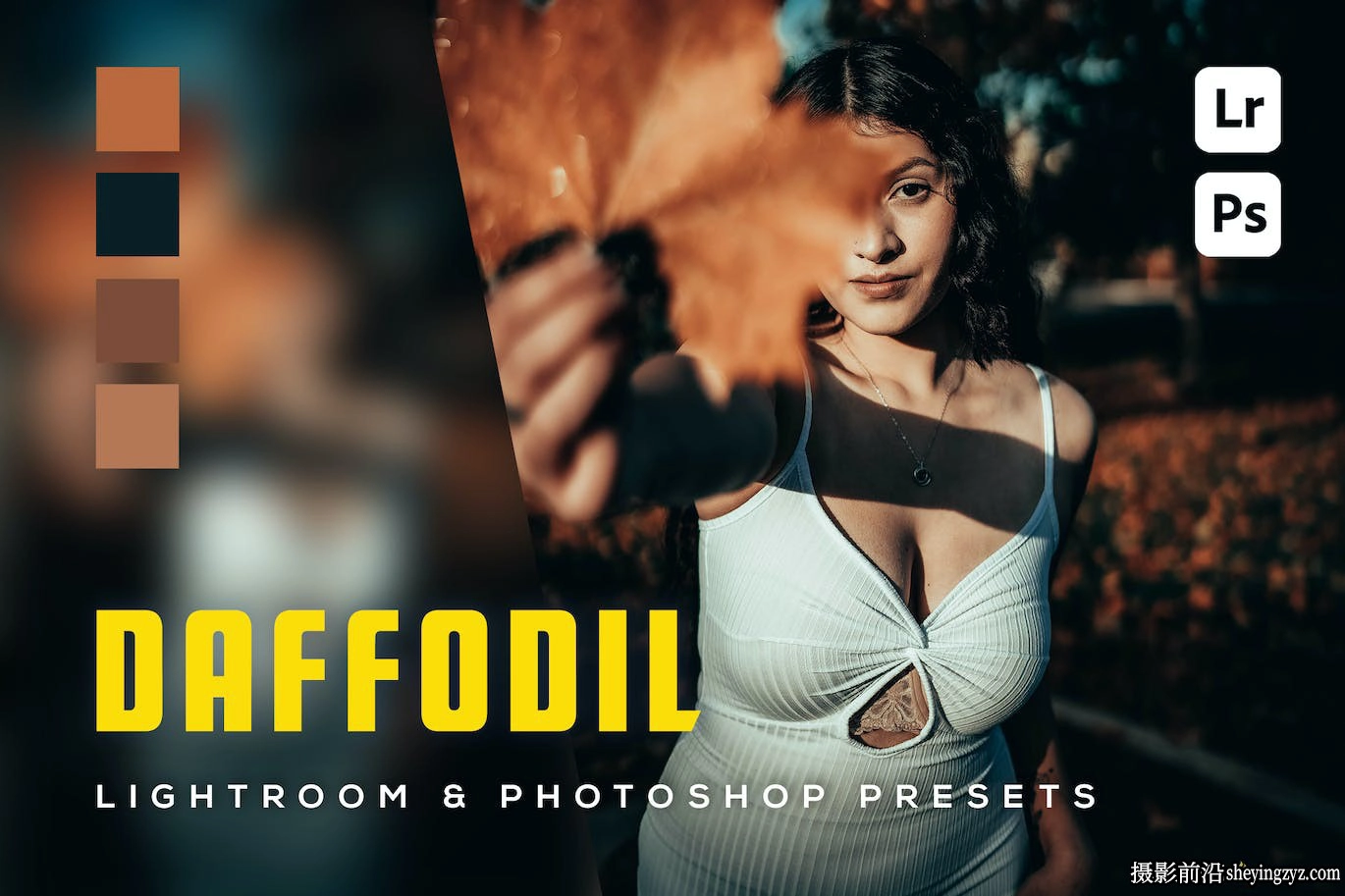 INS网红电影人像Lr预设及手机版lr预设 Daffodil Lightroom Presets