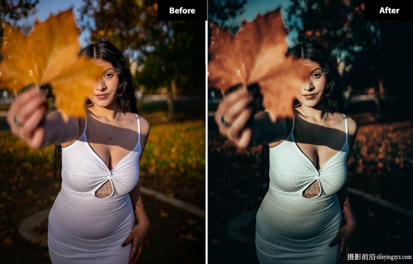 INS网红电影人像Lr预设及手机版lr预设 Daffodil Lightroom Presets