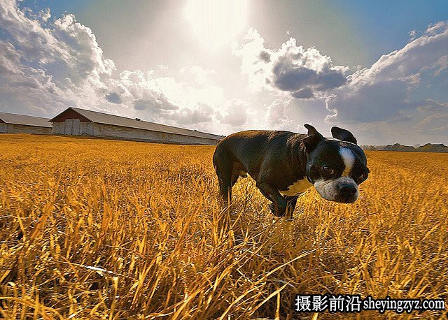 镜头摄影技巧-10个使用广角镜头拍摄的小技巧