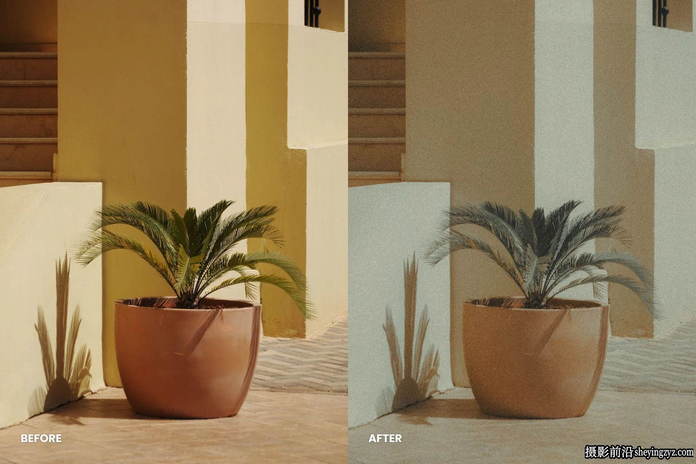 电影模拟颗粒胶片Lr预设/手机lr预设 Analog Film Lightroom Presets