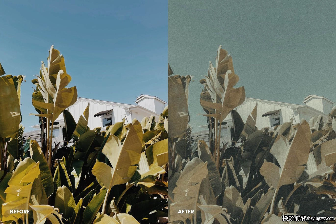 电影模拟颗粒胶片Lr预设/手机lr预设 Analog Film Lightroom Presets