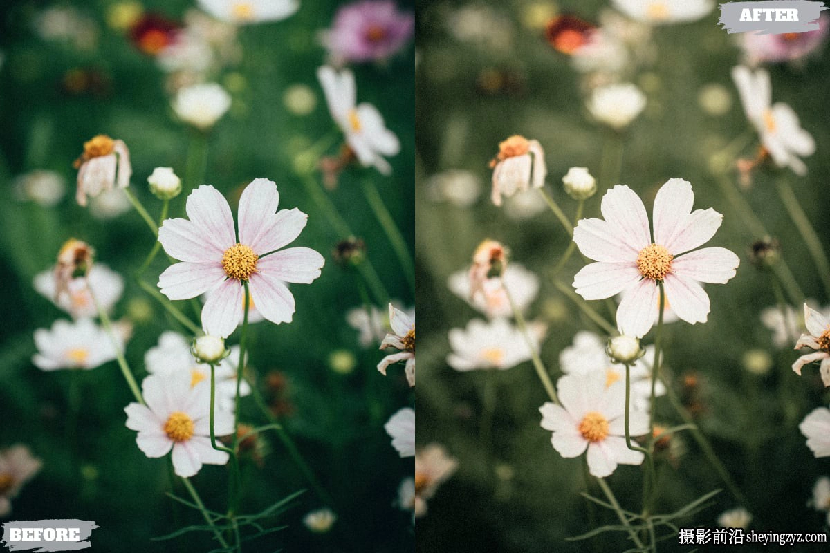 人文风光摄影调色lr预设及手机版lr预设 Sunday Lightroom Presets