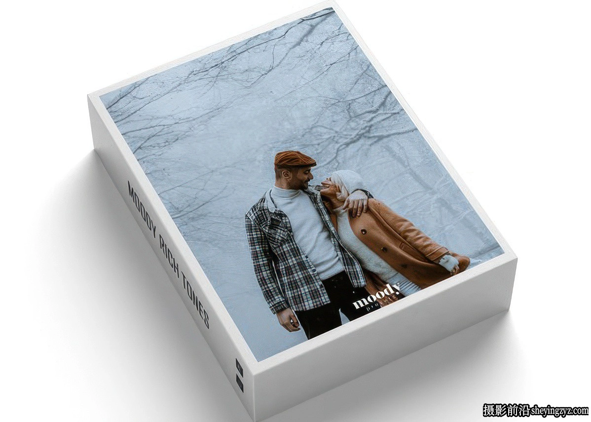 电影婚礼跟拍Lr预设及手机版lr预设 Moody Presets - Moody Rich Presets