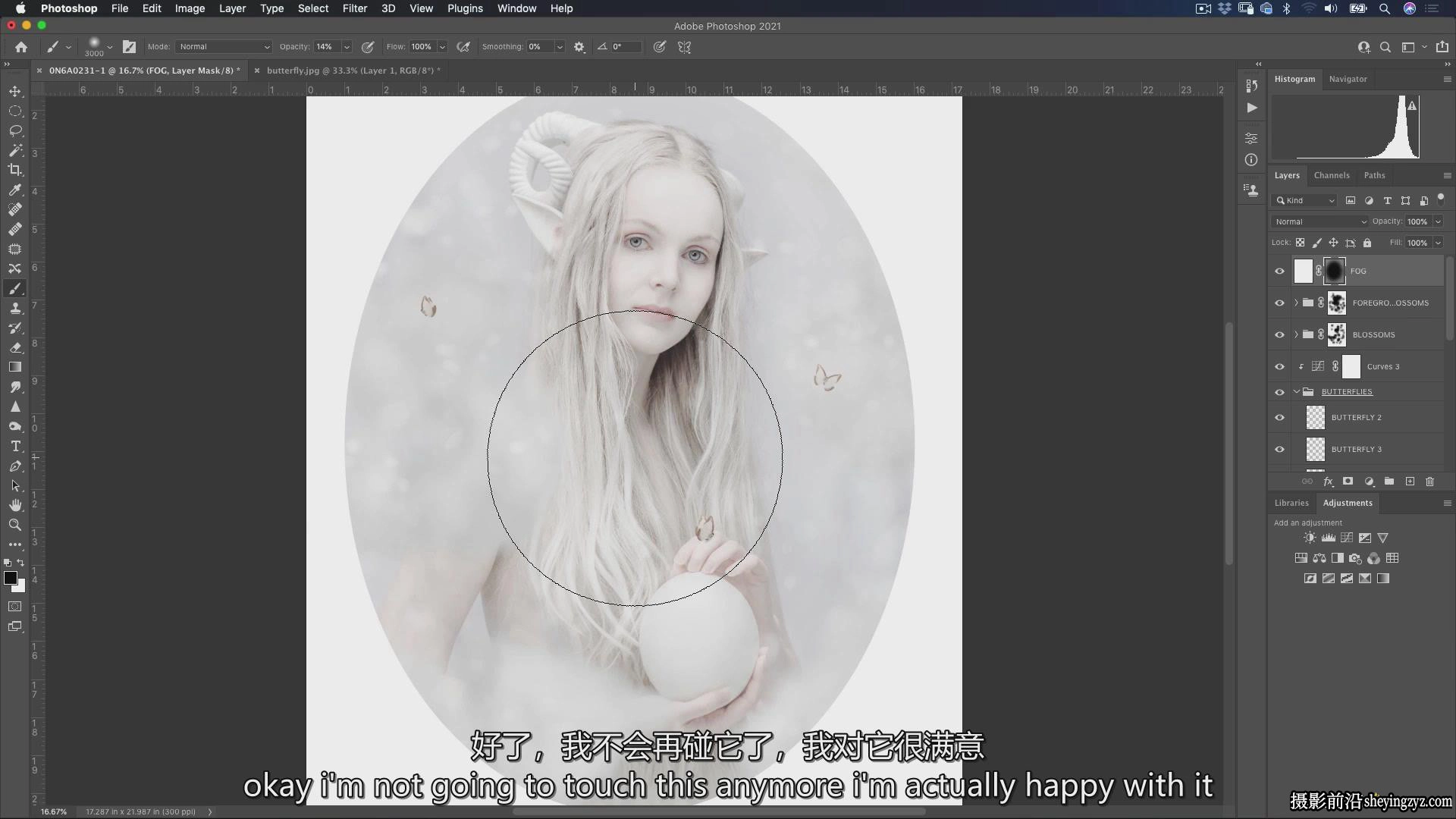 摄影师Richard Wood创意艺术肖像画摄影布光完整教程-中英字幕