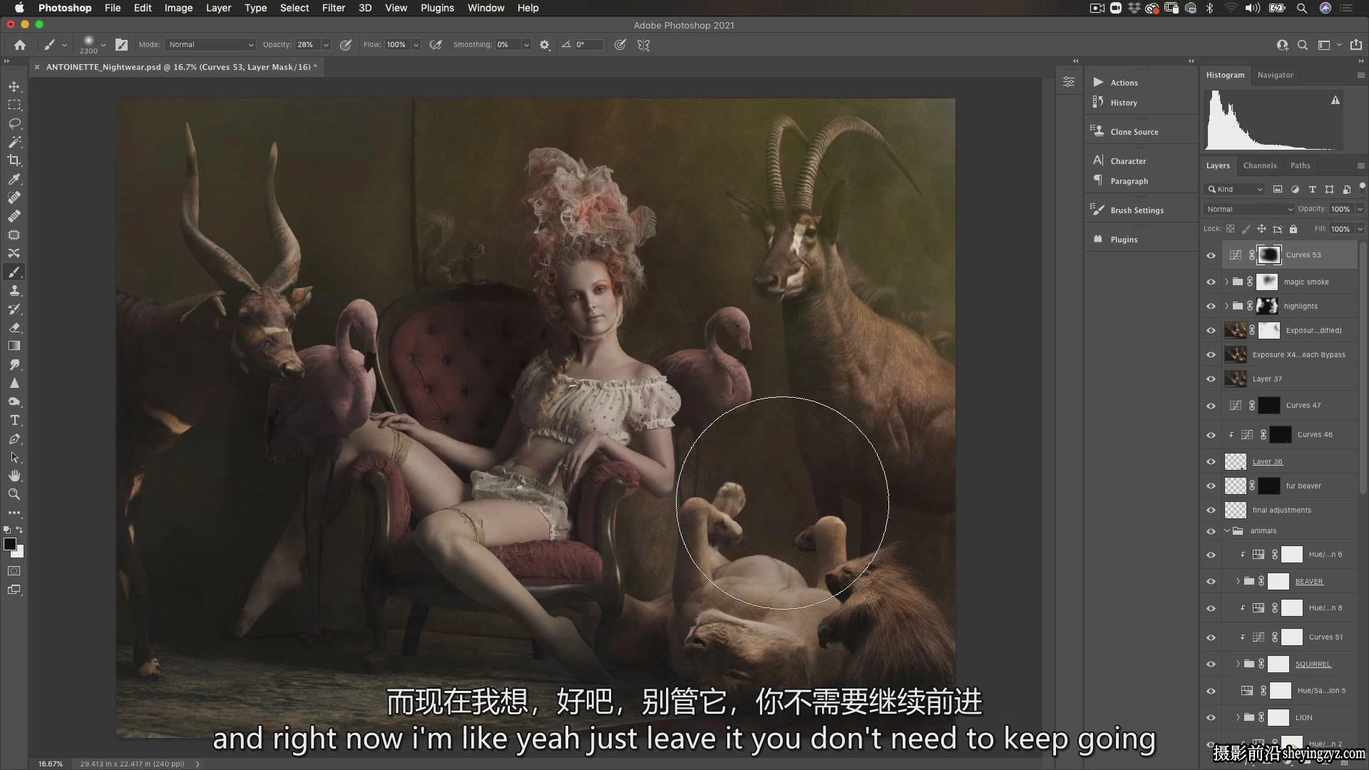 摄影师Richard Wood创意艺术肖像画摄影布光完整教程-中英字幕