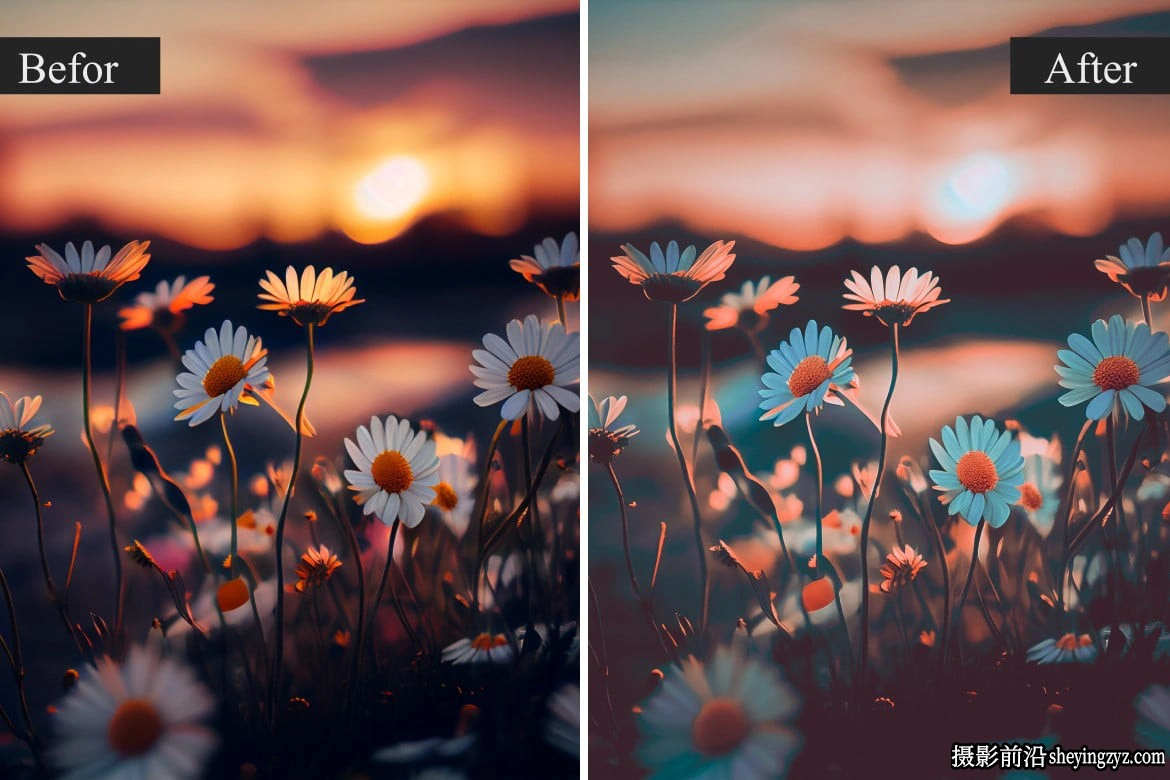 25种唯美梦幻自然风光Lightroom预设 Nature Pro Lightroom Presets