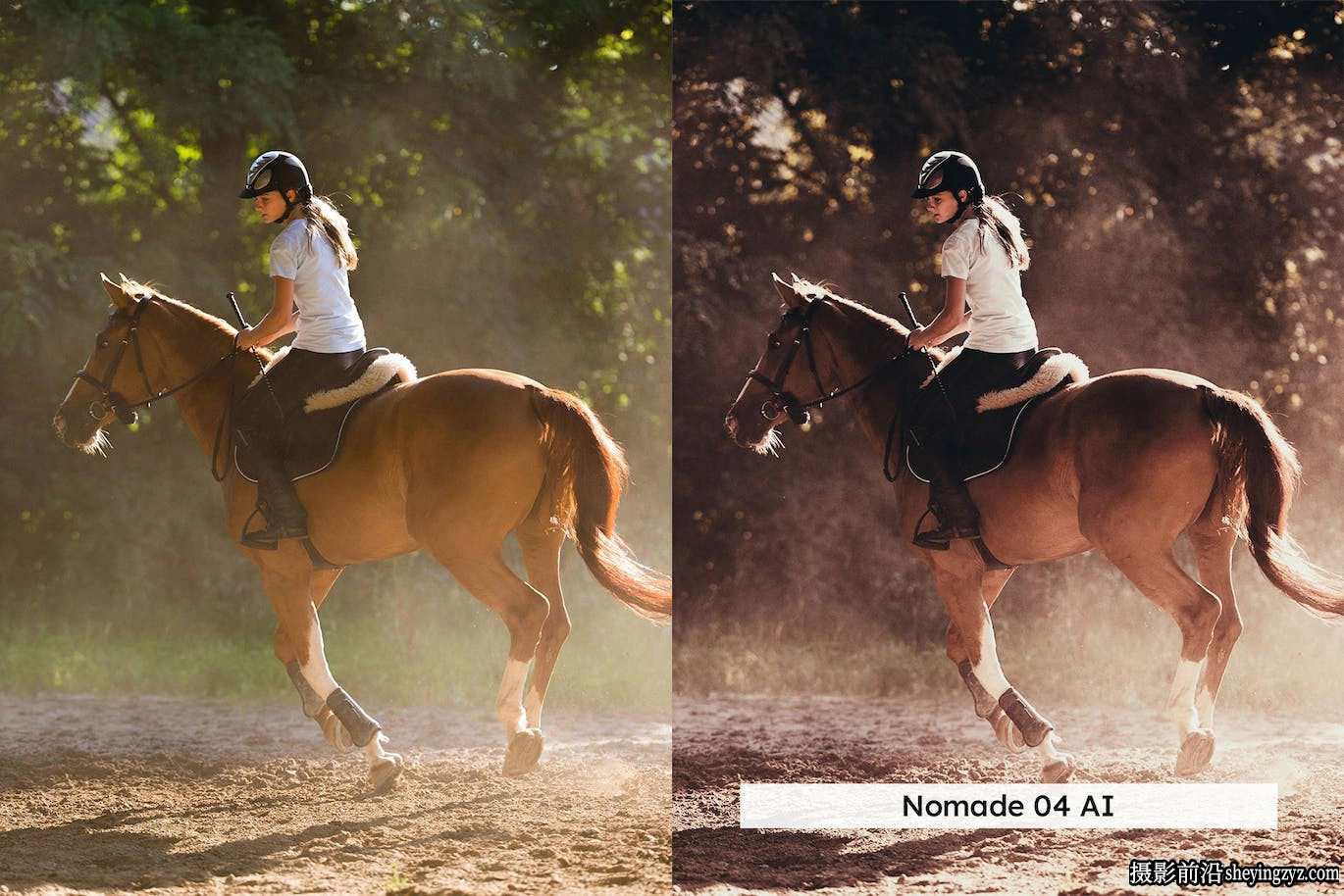 AI自适应lr预设lut预设 Equestrian Lightroom Presets and LUTs