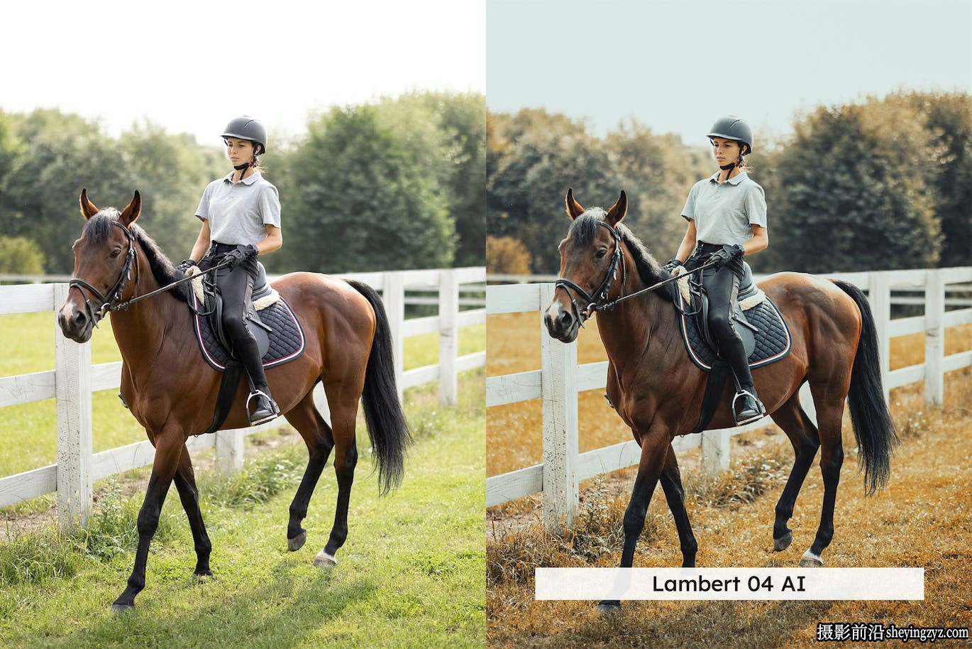 AI自适应lr预设lut预设 Equestrian Lightroom Presets and LUTs
