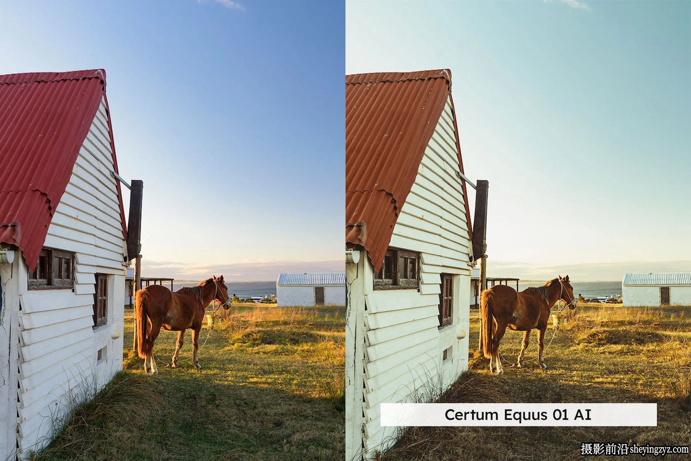 AI自适应lr预设lut预设 Equestrian Lightroom Presets and LUTs