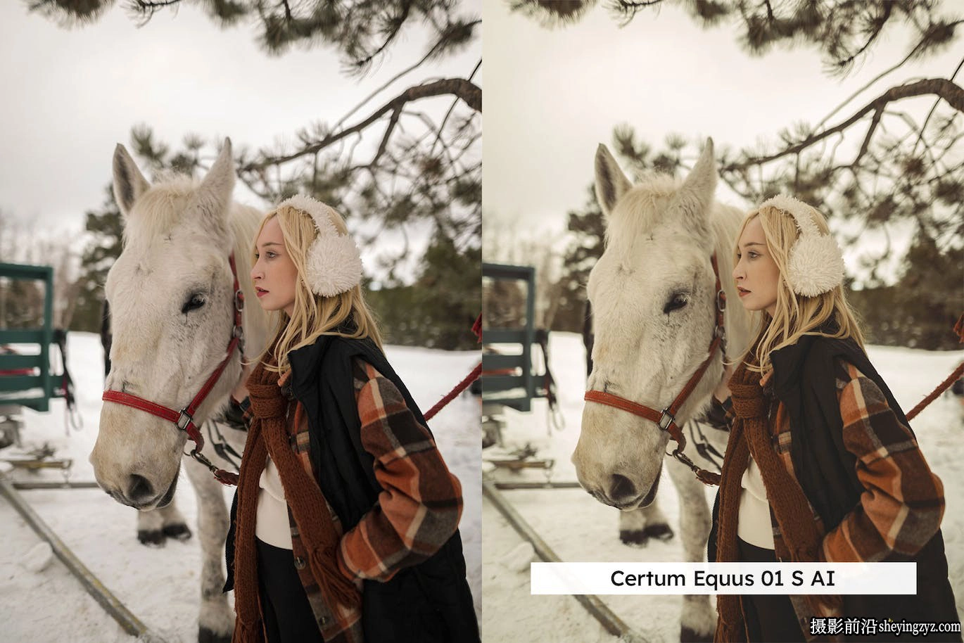 AI自适应lr预设lut预设 Equestrian Lightroom Presets and LUTs