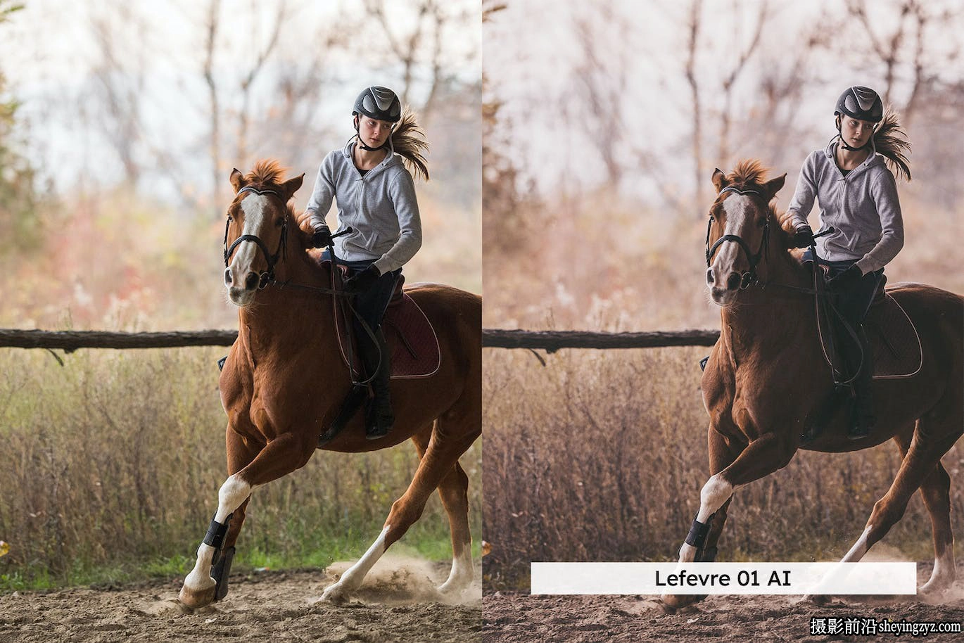 AI自适应lr预设lut预设 Equestrian Lightroom Presets and LUTs