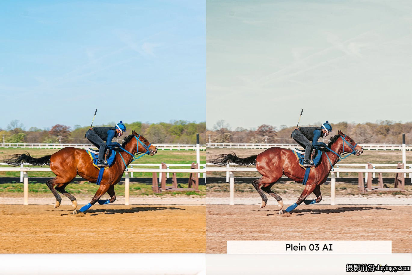 AI自适应lr预设lut预设 Equestrian Lightroom Presets and LUTs